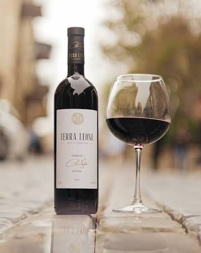 Terra Leone Shiraz (Sheki)